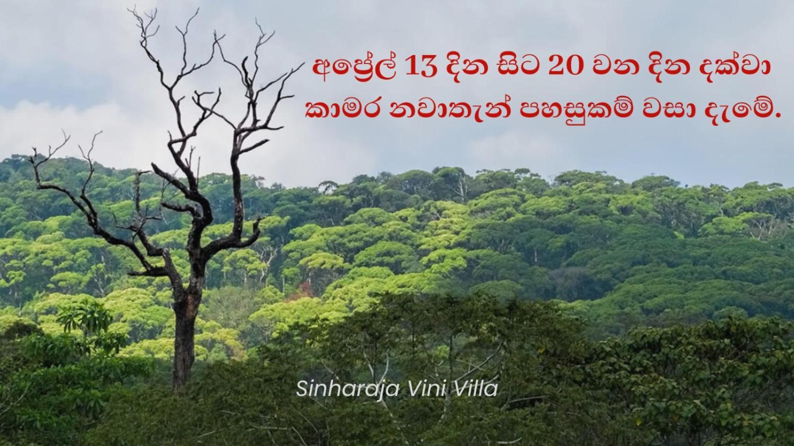 Sinharaja Vini Villa เดนิยายา ภายนอก รูปภาพ